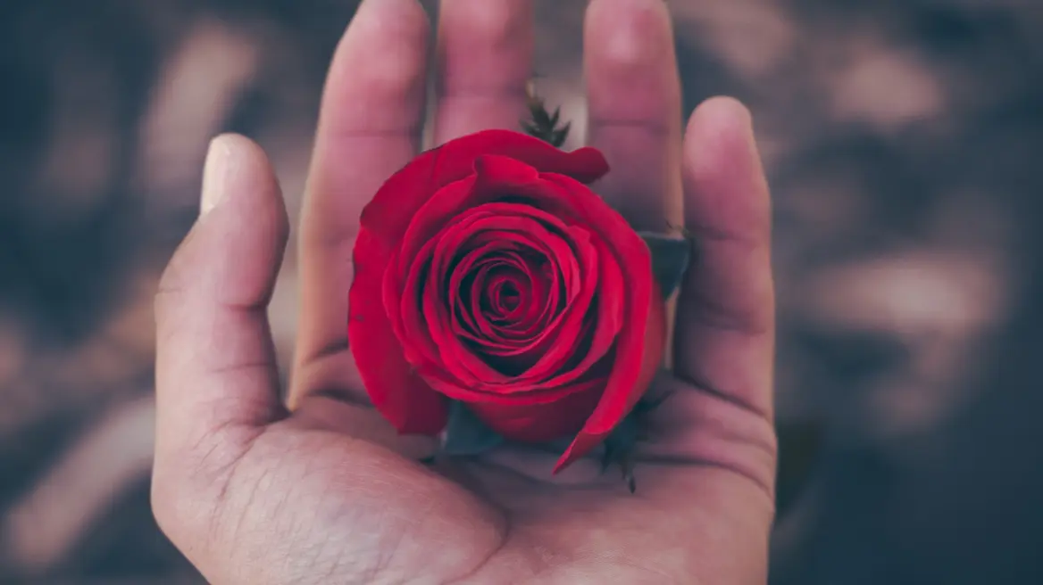 Άγιος Βαλεντίνος – Ακρίβεια: «Λαβωμένος» και ο έρωτας – 500 ευρώ για μια ανθοδέσμη με 100 τριαντάφυλλα!