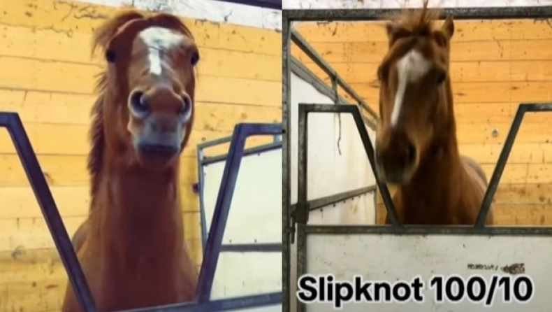Αγωνιστικό άλογο έγινε viral επειδή λατρεύει τους Slipknot: «Τρέχει πιο γρήγορα όταν ακούει heavy metal»