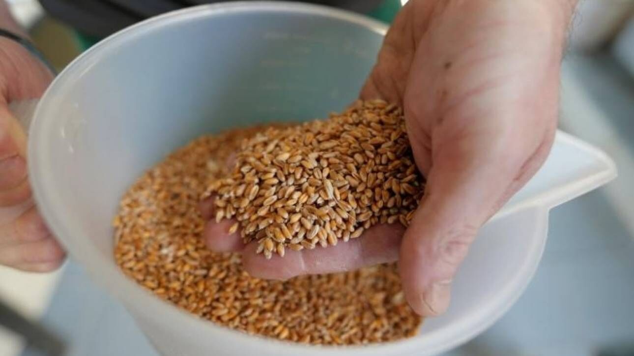 Στην 8η θέση των κυριότερων ελληνικών εξαγωγικών προορισμών η Ρουμανία