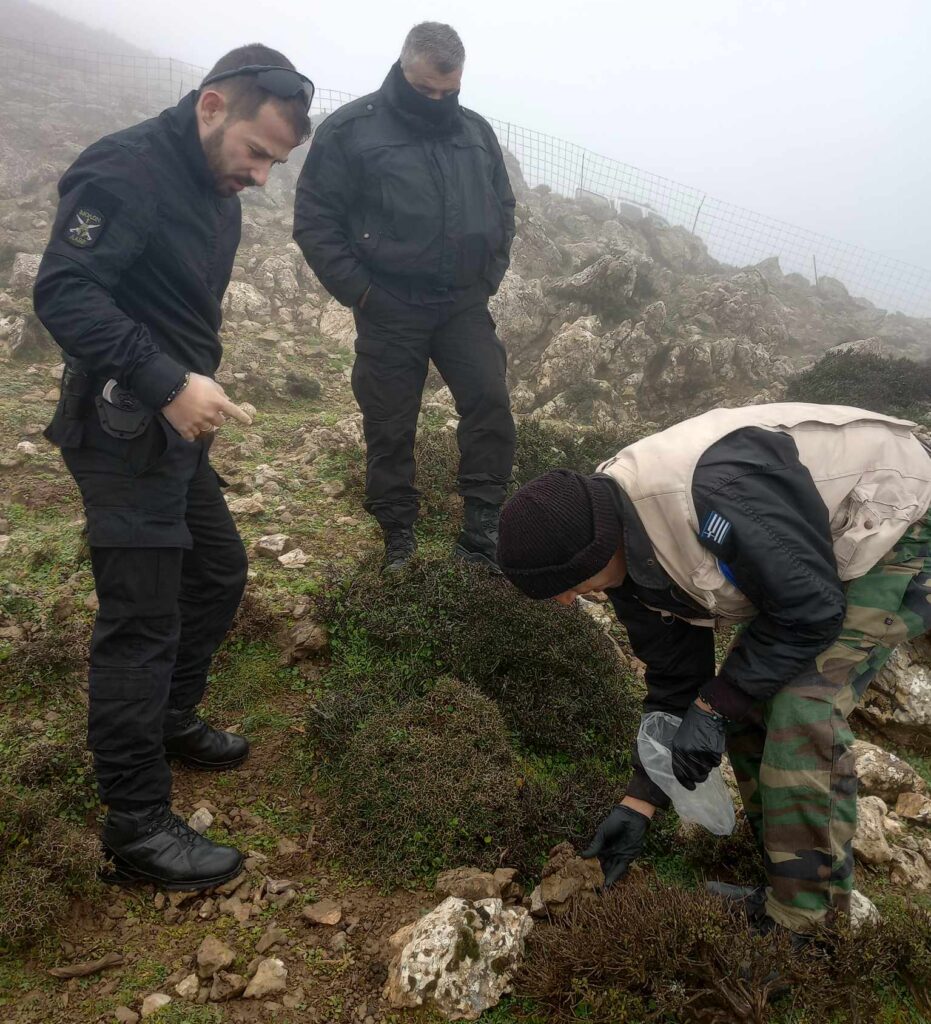 Ηράκλειο: Πέταξαν φόλες σε Καταφύγιο Άγριας Ζωής για να δηλητηριάσουν τα όρνια