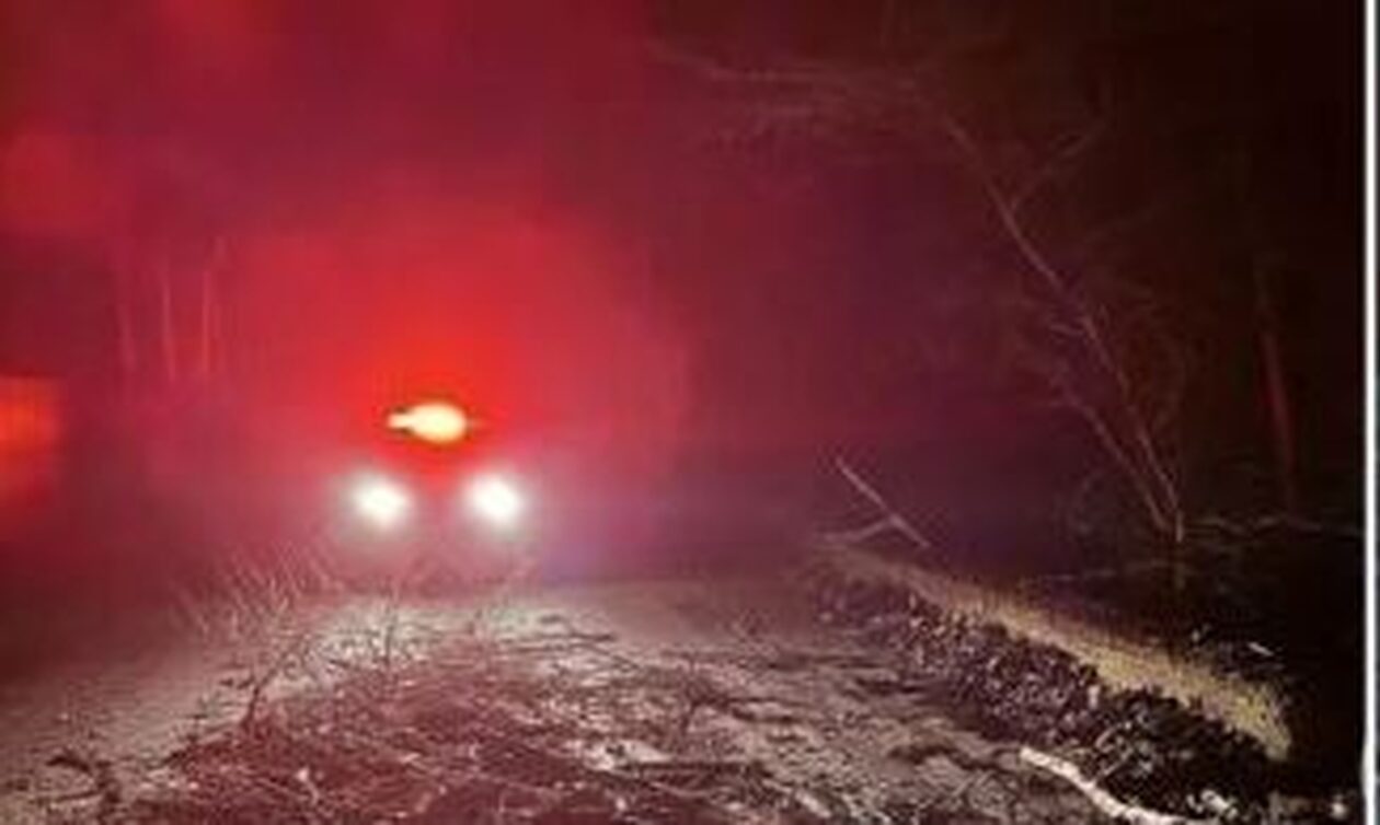 Πτώση δέντρων εξαιτίας των ισχυρών ανέμων