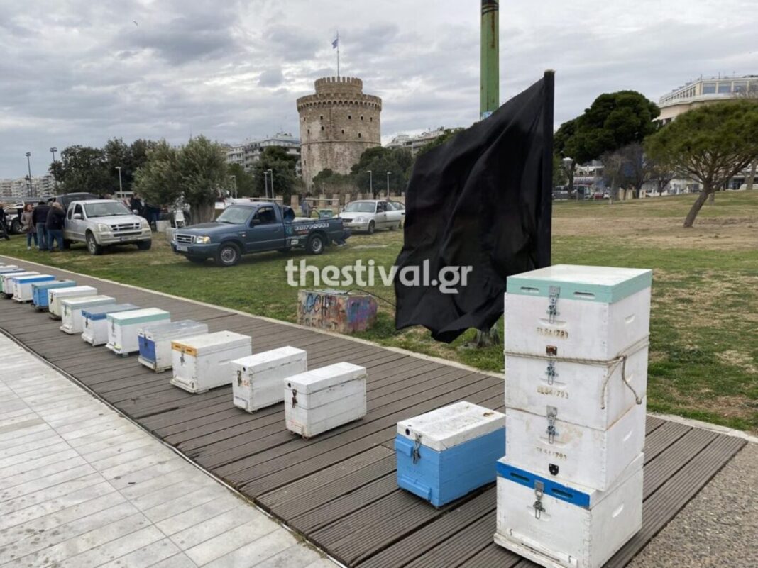 Διαμαρτυρία μελισσοκόμων στη Θεσσαλονίκη: Άπλωσαν άδειες κυψέλες στη Νέα Παραλία