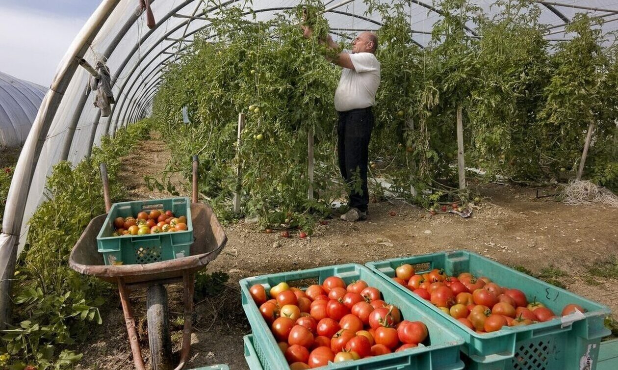 Αγρότες: Τι αλλάζει στις ελληνοποιήσεις των αγροτικών προϊόντων - Πιο αυστηρές οι ποινές