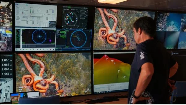 Επιστημονικός θησαυρός εντοπίστηκε στα βάθη του Ειρηνικού