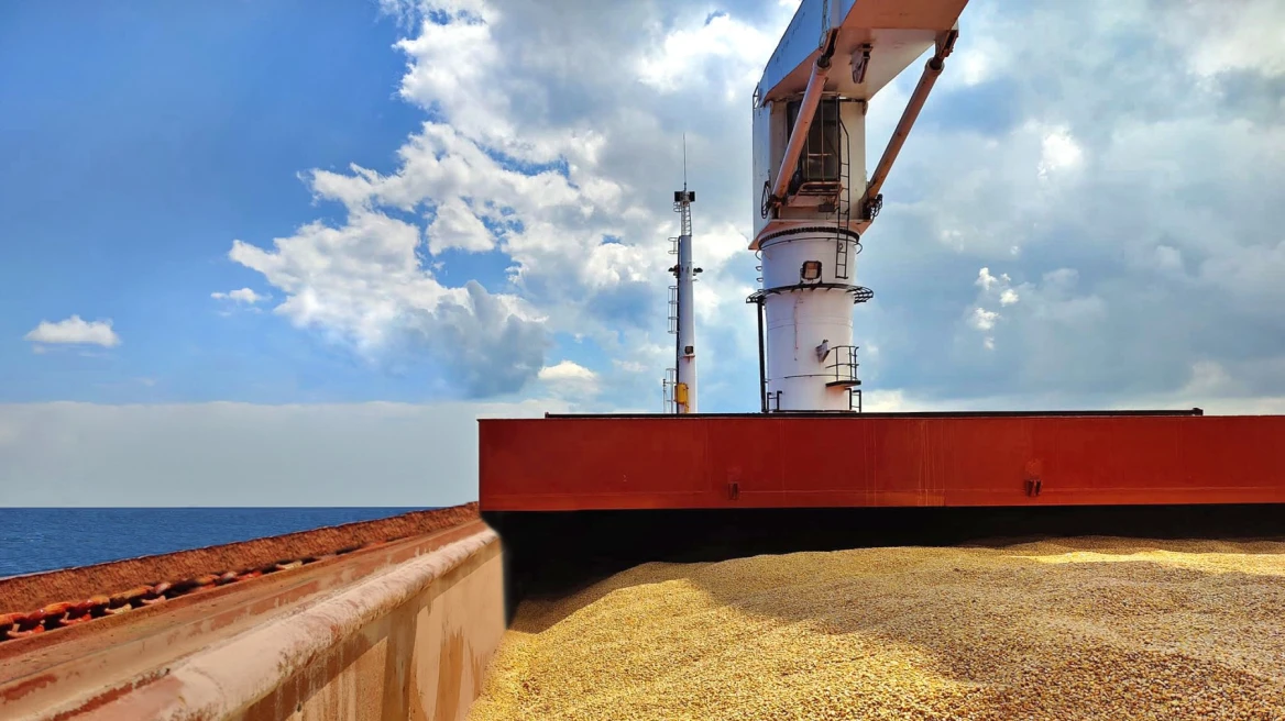 Η Ρωσία λέει πως παρέδωσε 200.000 τόνους σιτηρών δωρεάν σε έξι χώρες της Αφρικής