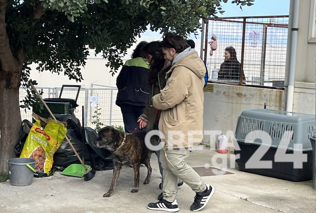 «Σκυλοβόλτα»: Πέρασαν την Κυριακή τους παρέα με τα τετράποδα του δημοτικού κυνοκομείου