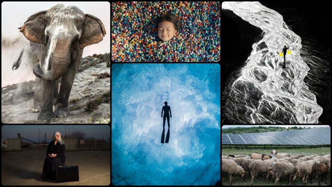Εντυπωσιακές εικόνες από τους νικητές των Sony World Photography Awards 2024