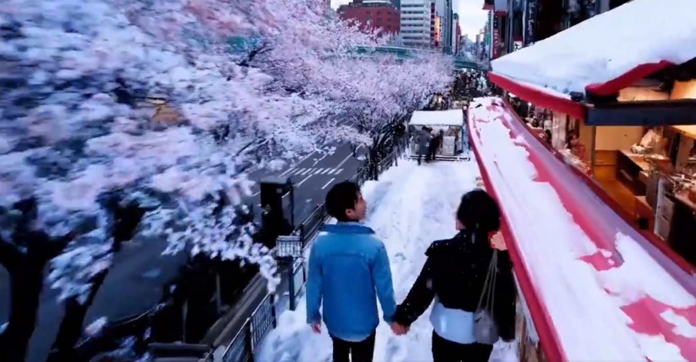 Open AI: Η δημιουργός του ChatGPT παρουσίασε το νέο επαναστατικό της εργαλείο που δημιουργεί βίντεο από κείμενα