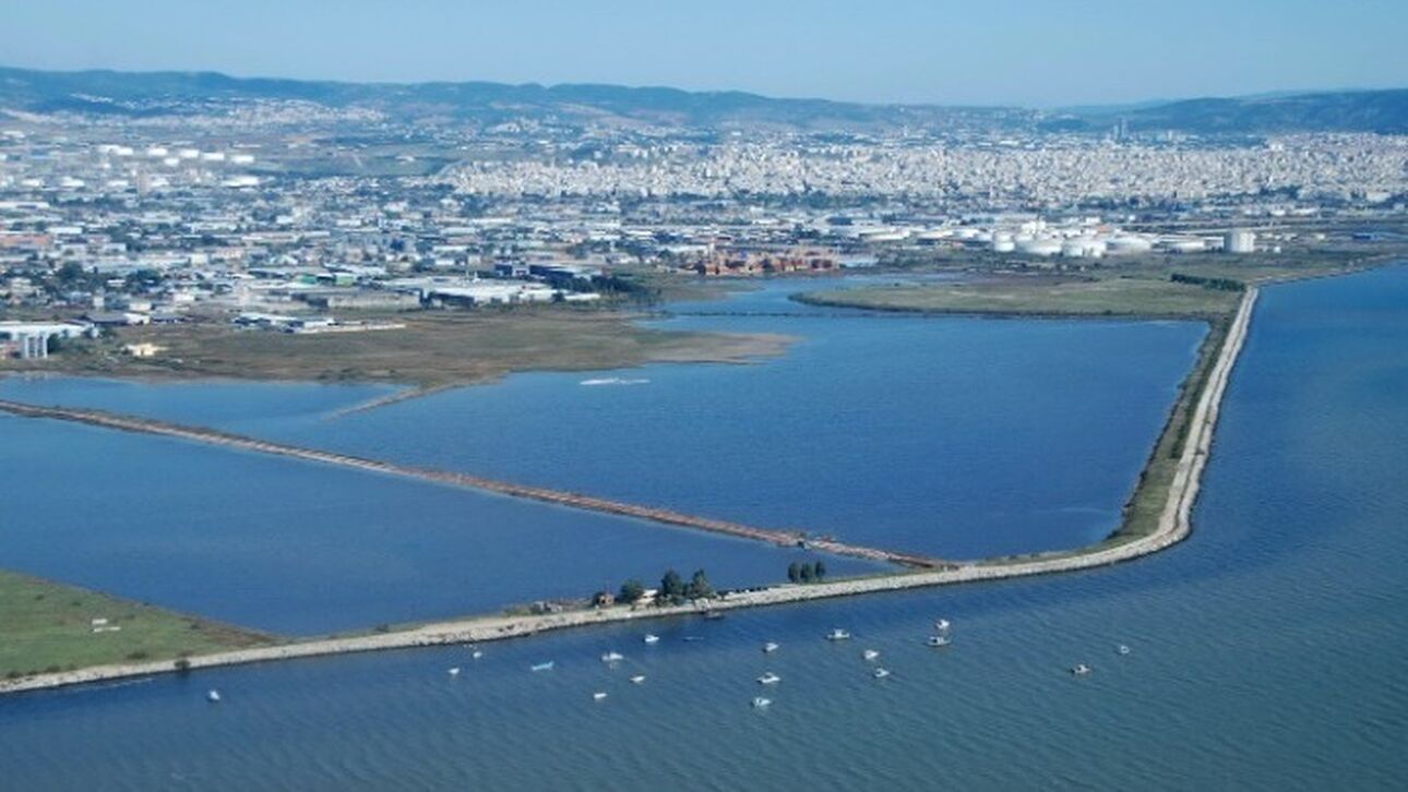 Θεσσαλονίκη: Θαλάσσια ρύπανση στον Θερμαϊκό