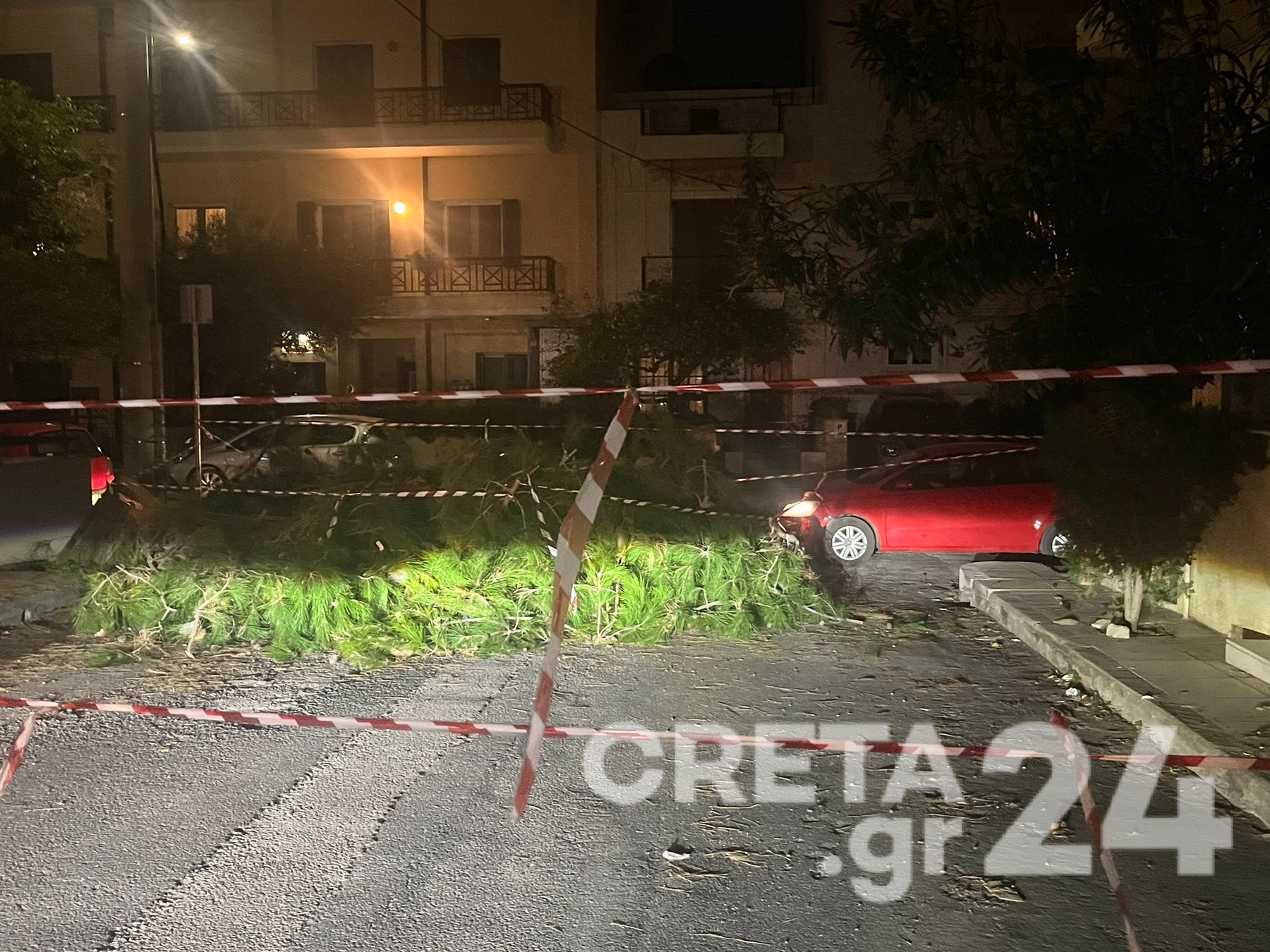 Ηράκλειο: Ανησυχία από την επικίνδυνη κλίση δέντρου (εικόνες)