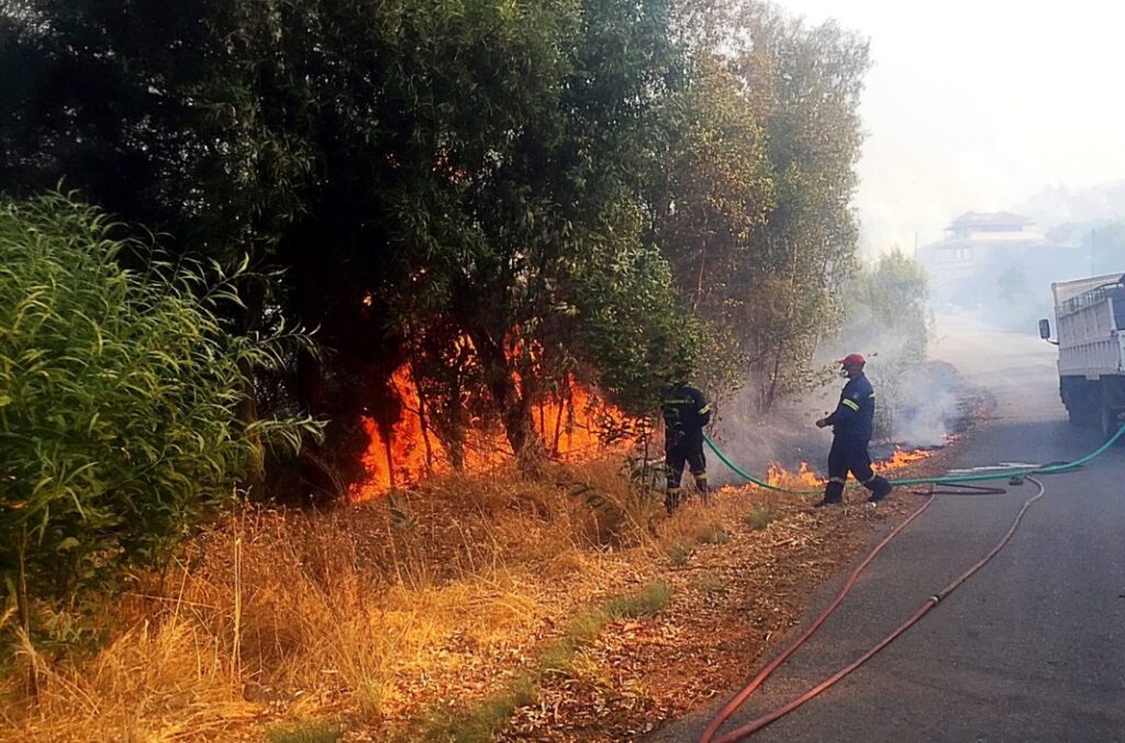 Συναγερμός για δασική πυρκαγιά στο Κρυονέρι
