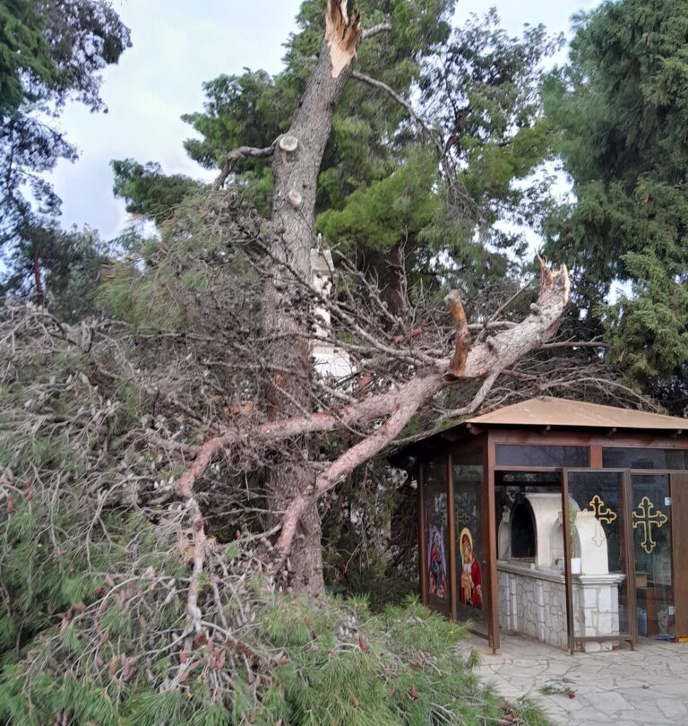 Kρήτη: Ισχυροί άνεμοι έσπασαν δέντρα – Καταπλάκωσαν εκκλησάκι