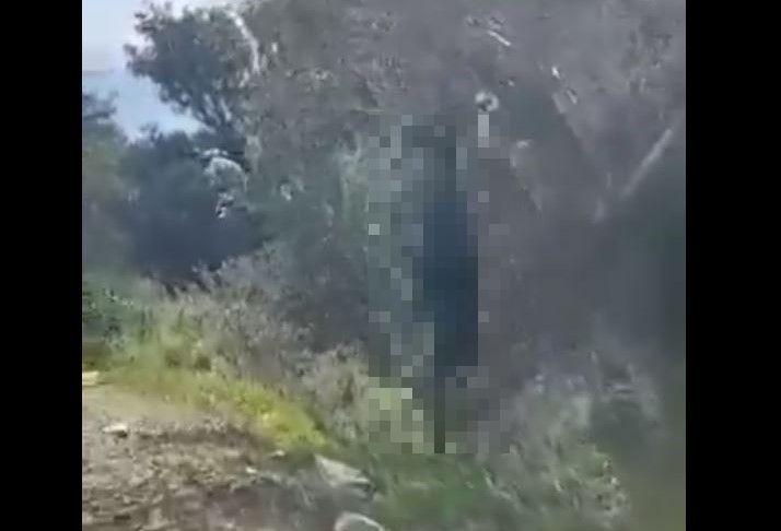 Άγρια κακοποίηση ζώου – Κρέμασαν κατσίκα σε δέντρο
