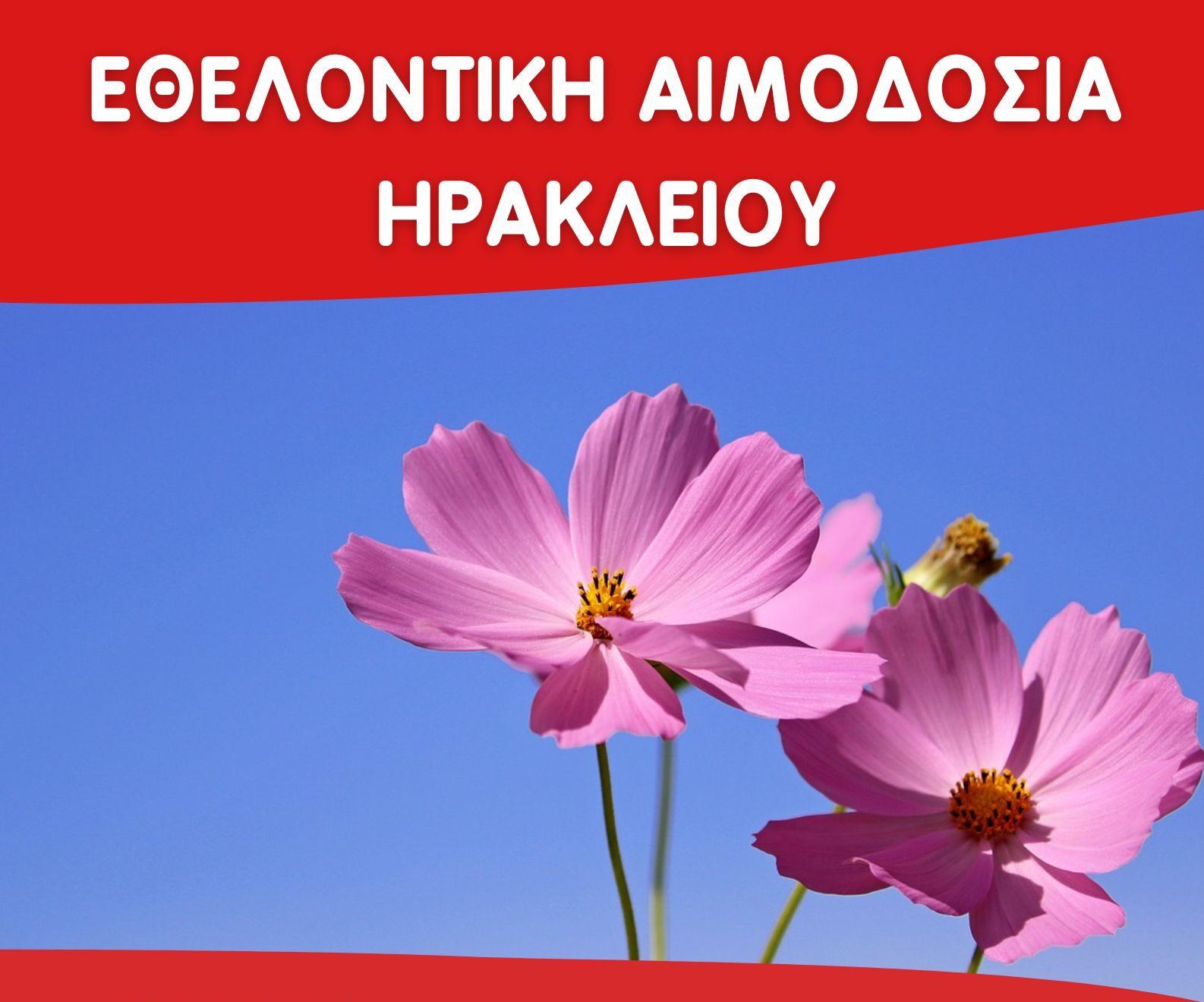 Εθελοντική αιμοδοσία στο αίθριο της Λότζια το Σάββατο