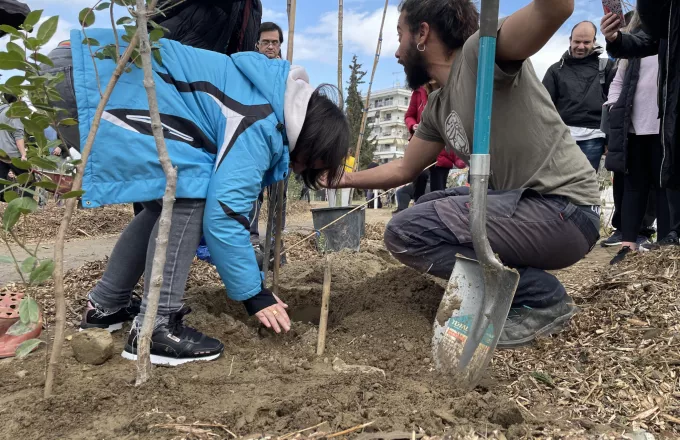 Αυτό το δάσος… τρώγεται: Στη Θεσσαλονίκη το πρώτο βρώσιμο δάσος με φύτευση 700 δέντρων και φυτών