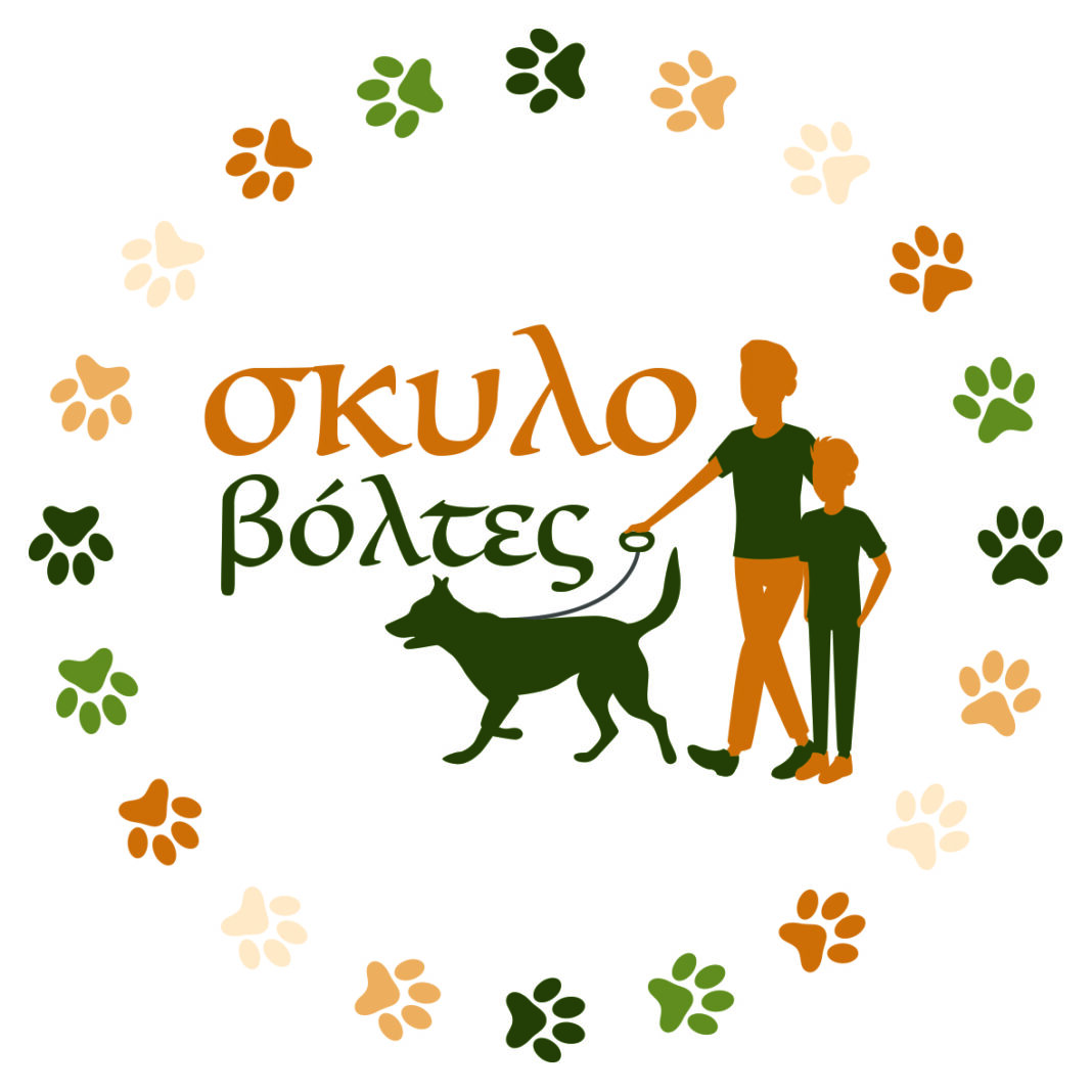 Κυριακάτικες «Σκυλοβόλτες» από το Κυνοκομείο του Δήμου Ηρακλείου