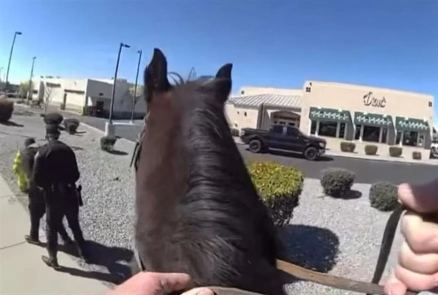 Viral βίντεο στο διαδίκτυο - Αστυνομικός καταδιώκει κλέφτη πάνω σε άλογο