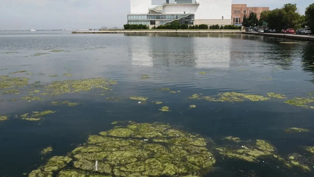 Θεσσαλονίκη: Αποκρουστική εικόνα στον Θερμαϊκό – Γέμισε σκουπίδια και φύκια