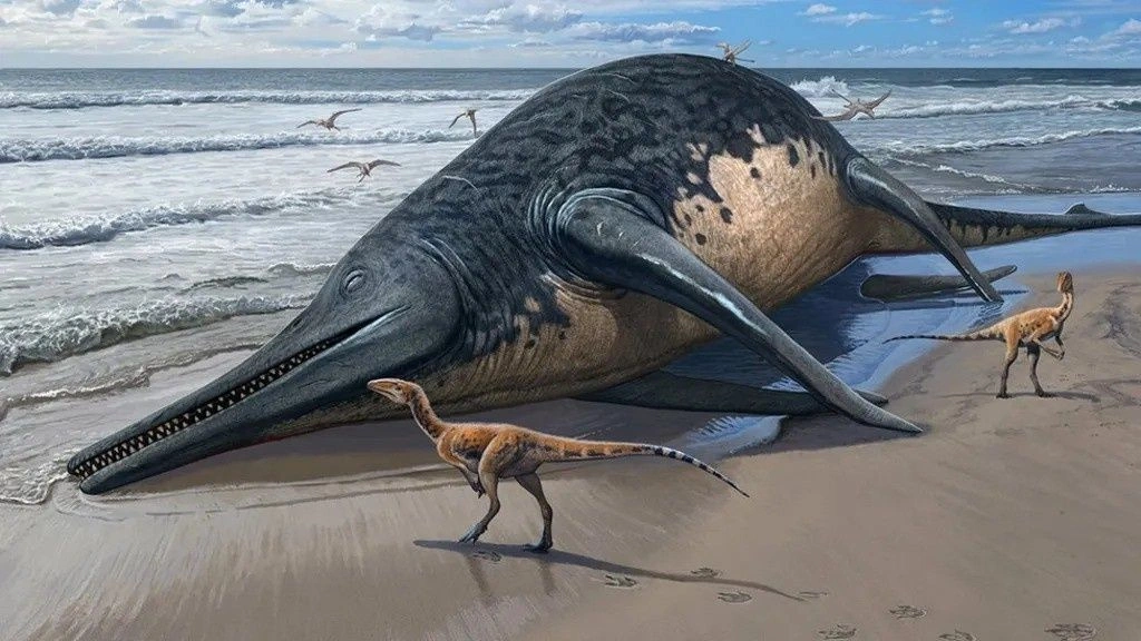 Απολιθώματα «οδήγησαν» στο μεγαλύτερο θαλάσσιο ερπετό που έζησε ποτέ