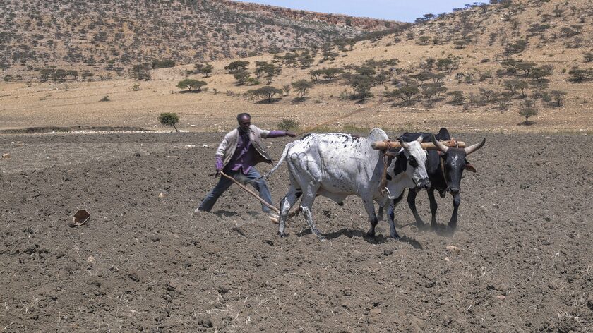 Ζιμπάμπουε: «Εθνική Καταστροφή» η ξηρασία – Η χώρα βρίσκεται αντιμέτωπη με λιμό
