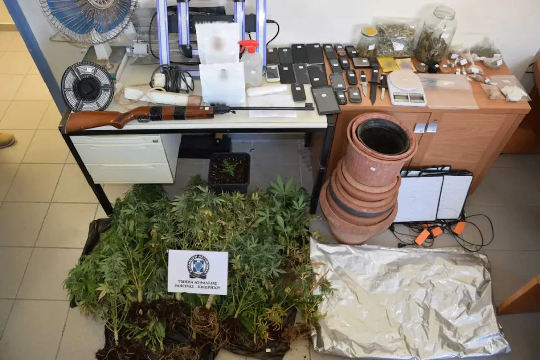 Καλλιεργούσαν δενδρύλλια κάνναβης – Φωτογραφίες από το παράνομο εργαστήριο