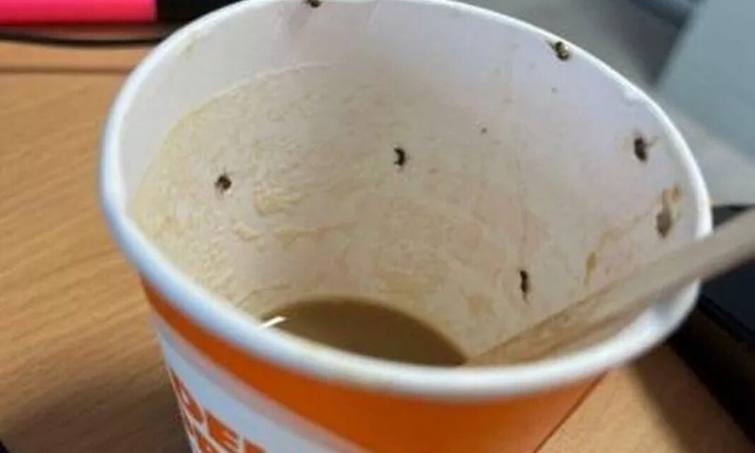 Σοκ για 21χρονη: Πήρε καφέ από αεροδρόμιο γεμάτο… έντομα – Βρέθηκε στην εντατική