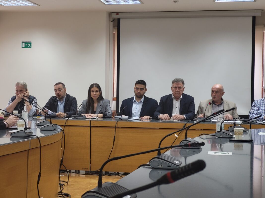 Ελένη Βατσινά: Εργασιακά δικαιώματα και στήριξη των επιχειρήσεων από την Πολιτεία κόντρα στην έλλειψη ανθρώπινου δυναμικού