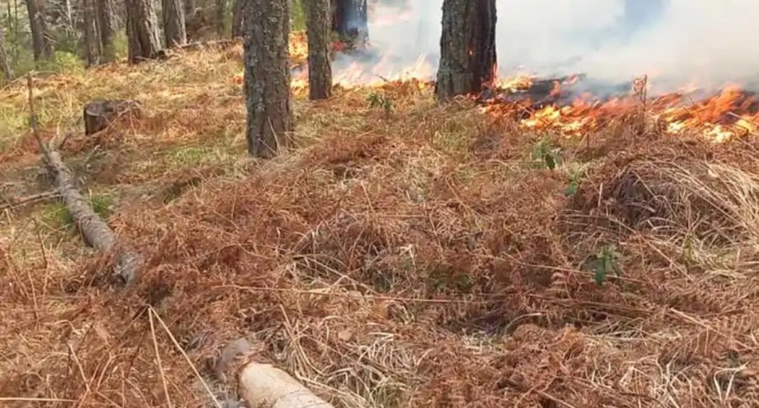 Στις 56 οι αγροτοδασικές πυρκαγιές το τελευταίο 24ωρο