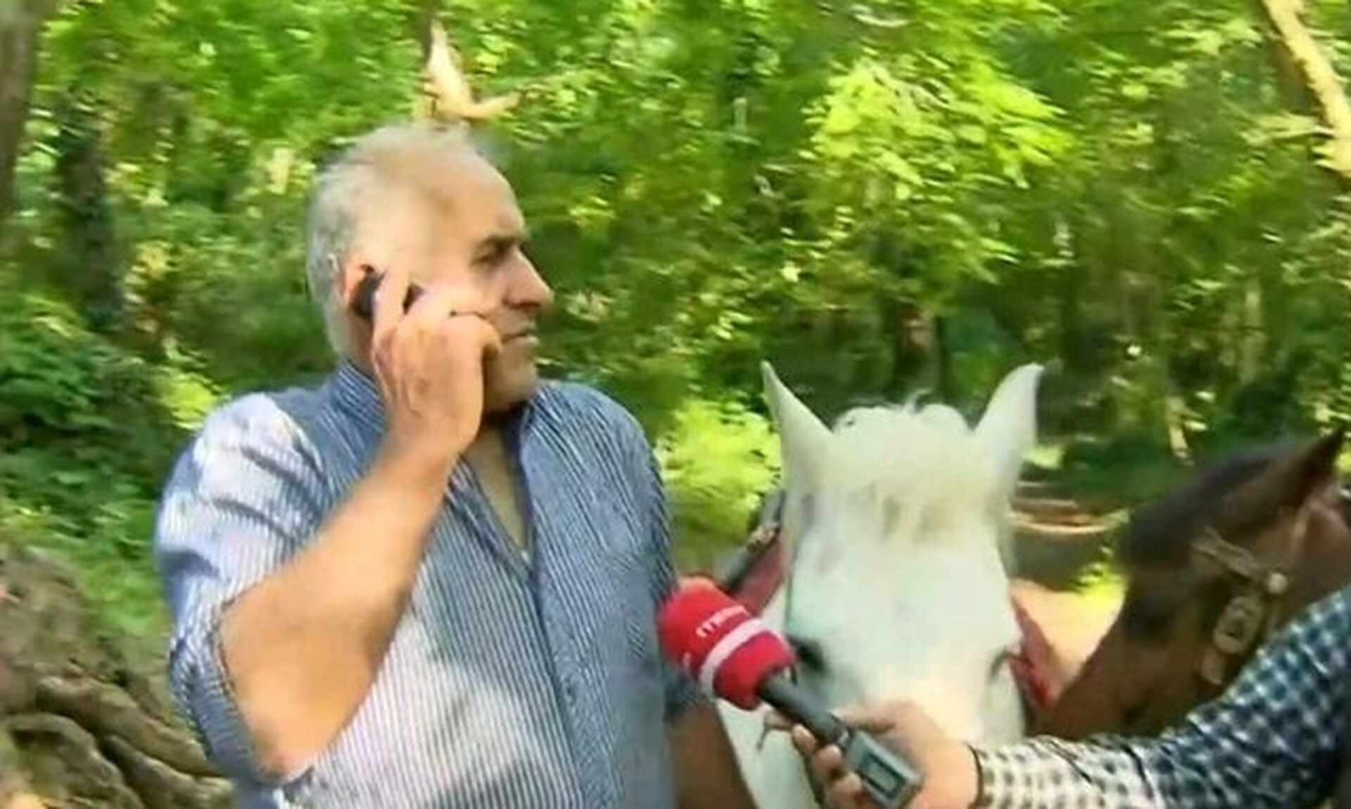 Επιμένει στην αθωότητά του ο ιδιοκτήτης αλόγων που κατηγορείται για σεξουαλική επίθεση