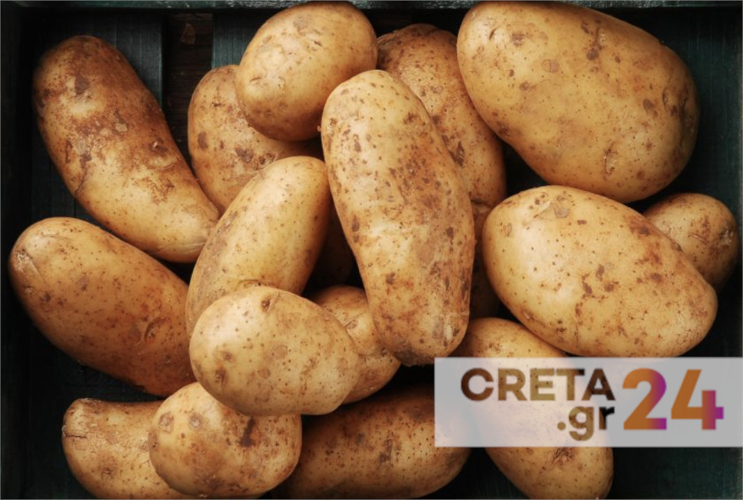 Από βρώσιμο χόρτο της Κρήτης η λύση στον μύκητα που καταστρέφει την παγκόσμια παραγωγή πατάτας με απώλειες 2,75 δις