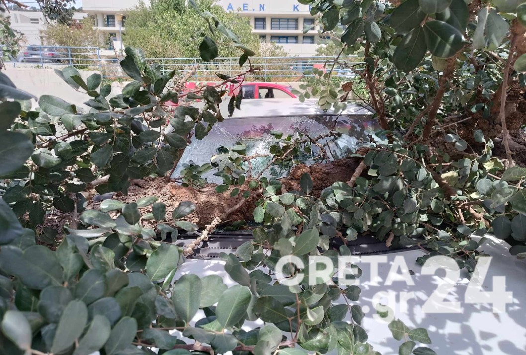 Προβλήματα από τους ισχυρούς ανέμους στην Κρήτη – Δέντρο έπεσε πάνω σε αυτοκίνητα