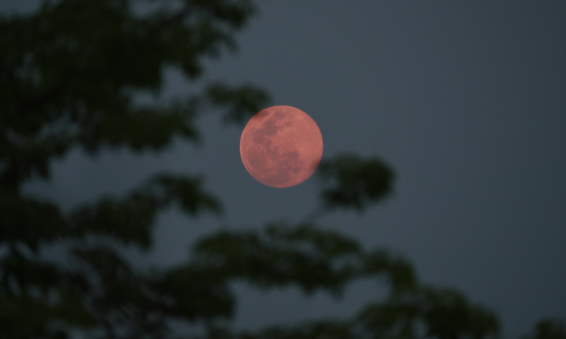 Ροζ πανσέληνος του Απριλίου: Πότε θα τη δούμε στην Ελλάδα