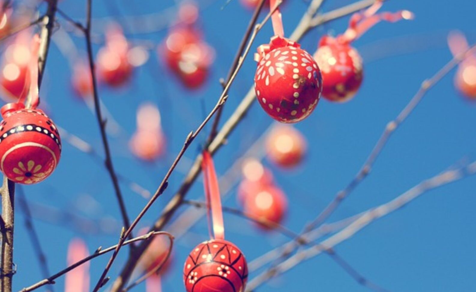 Εθελοντική αιμοδοσία στο αίθριο της Λότζια το Σάββατο