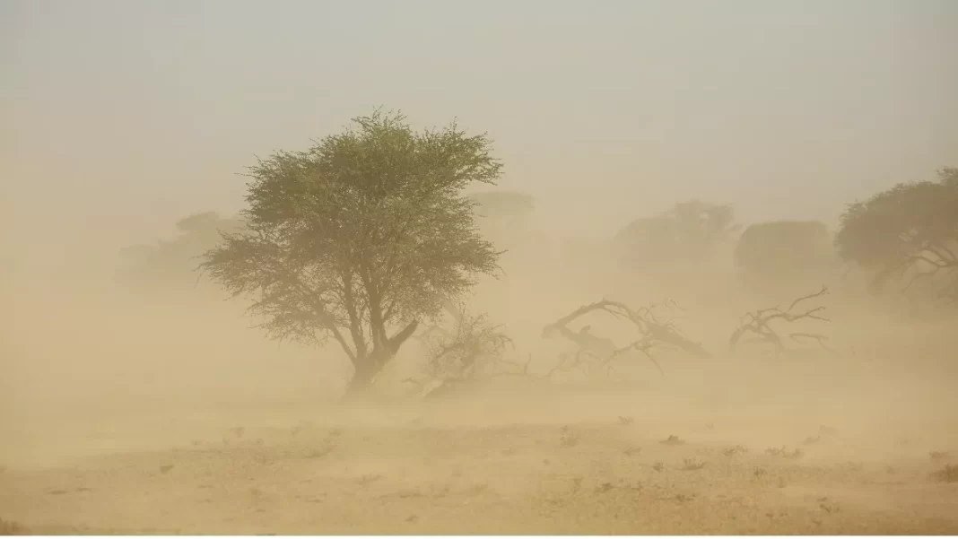 Αφρικανική σκόνη: Τι προκαλεί στην υγεία μας – Tips προστασίας