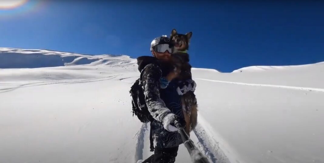 Viral: Για σνόουμπορντ στις Άλπεις αγκαλιά με τον σκύλο