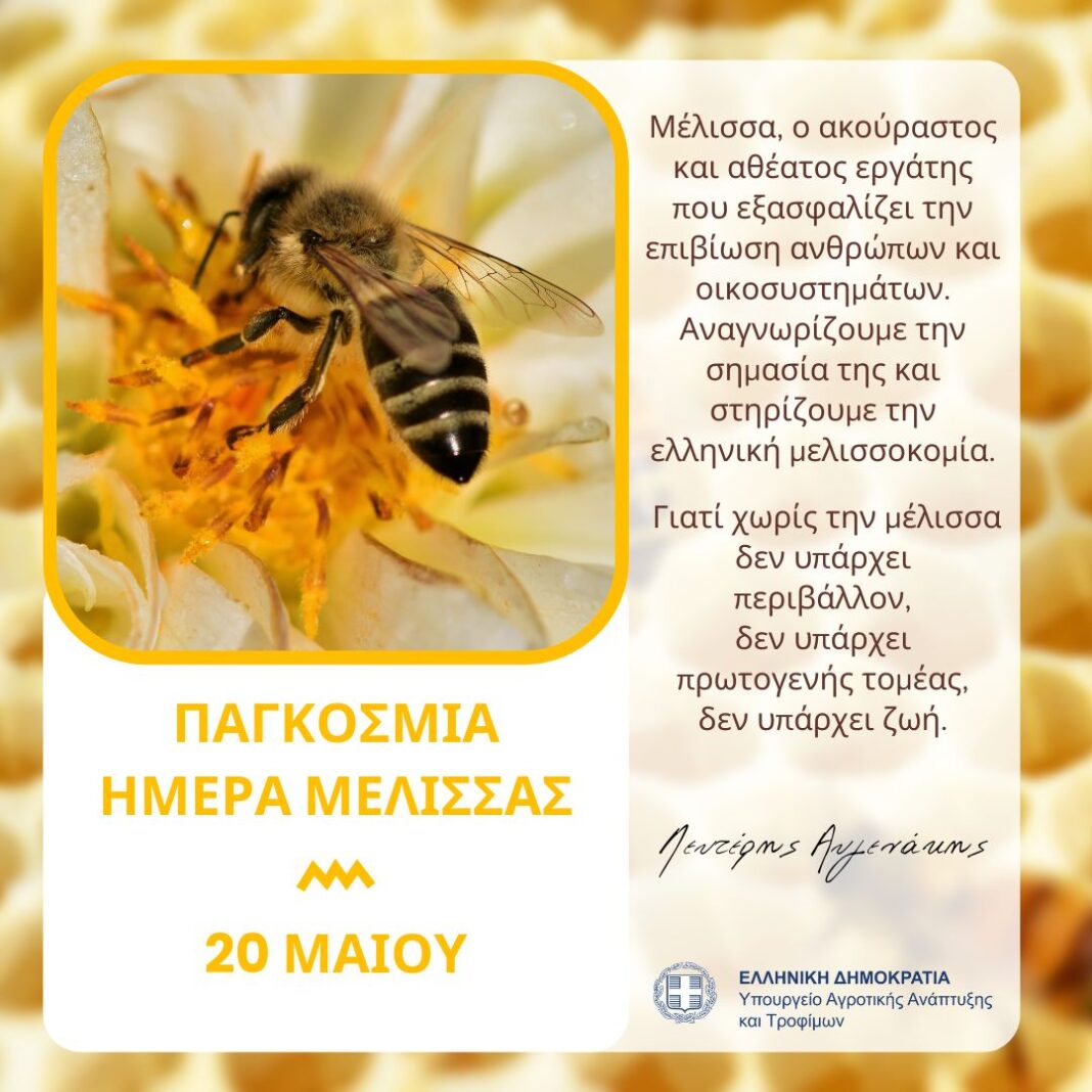Μήνυμα του Λευτέρη Αυγενάκη για την Παγκόσμια Ημέρα Μέλισσας – Η τεράστια συνεισφορά της στην παραγωγή