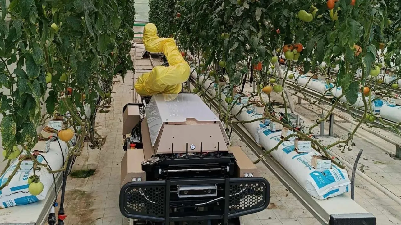 Πανεπιστήμιο Θεσσαλίας: Ρομποτική παγίδα τεχνητής νοημοσύνης για τον έλεγχο των εντόμων