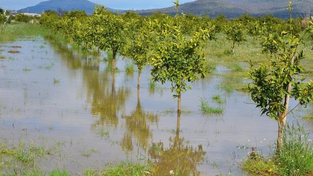 Δημοσιεύθηκε το ΦΕΚ της απόφασης Αυγενάκη για το πρόγραμμα ενίσχυσης των παρακάρλιων περιοχών, ύψους 43 εκατ. ευρώ