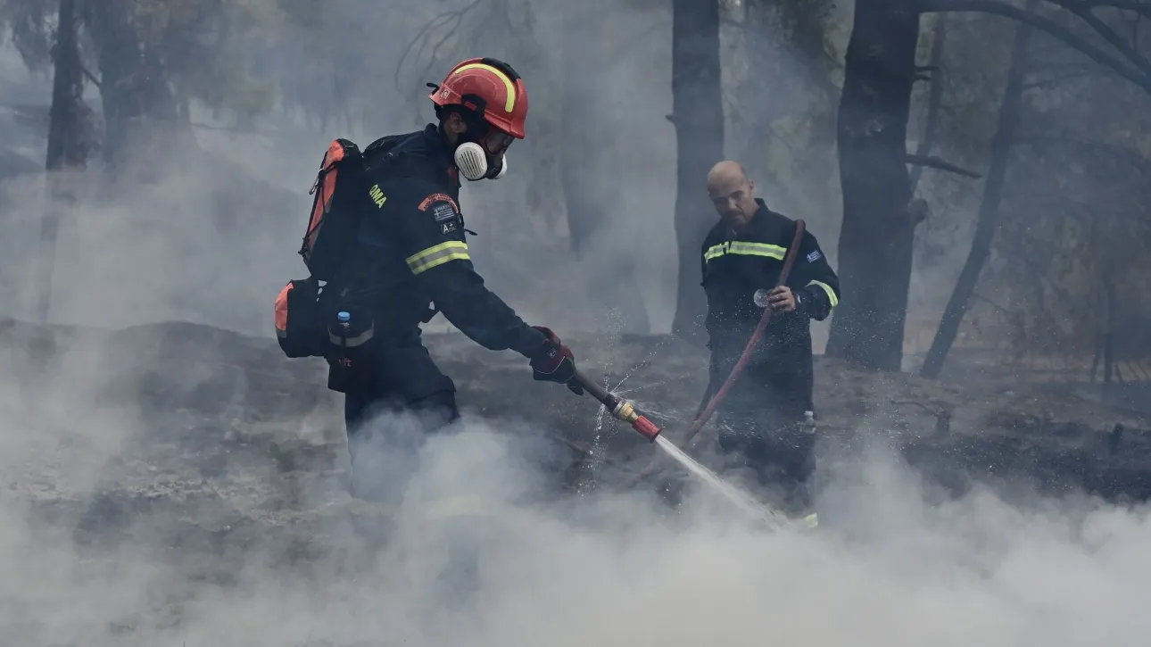 Πυρκαγιά σε δασική έκταση στην Βοιωτία