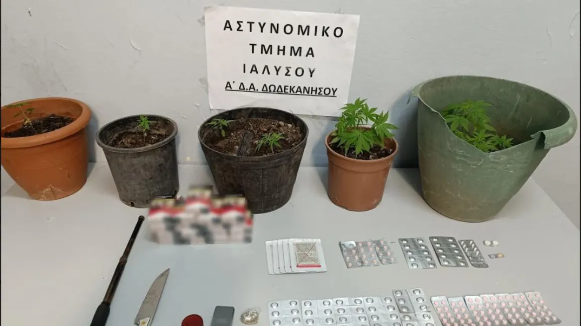 Χασισοκαλλιεργητής συνελήφθη με όπλα και λαθραία τσιγάρα