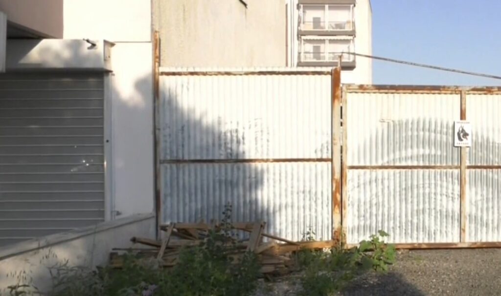 Άγρια επίθεση πιτ μπουλ σε μαλτέζ και στην ιδιοκτήτρια του: Σε σοκ η γυναίκα- «Δεν πρόλαβα να φτάσω στην είσοδο, άρπαξε τον αγκώνα μου»