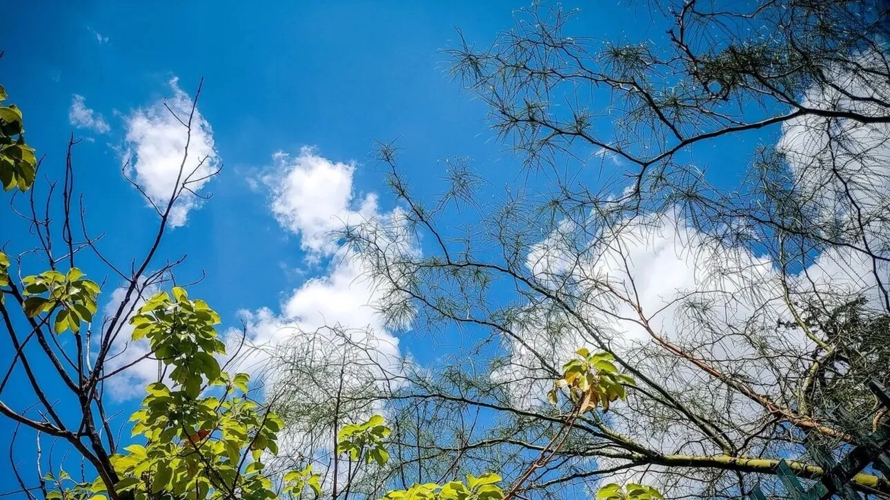 Καιρός: Αίθριος με αραιές νεφώσεις – Μικρή άνοδος της θερμοκρασίας