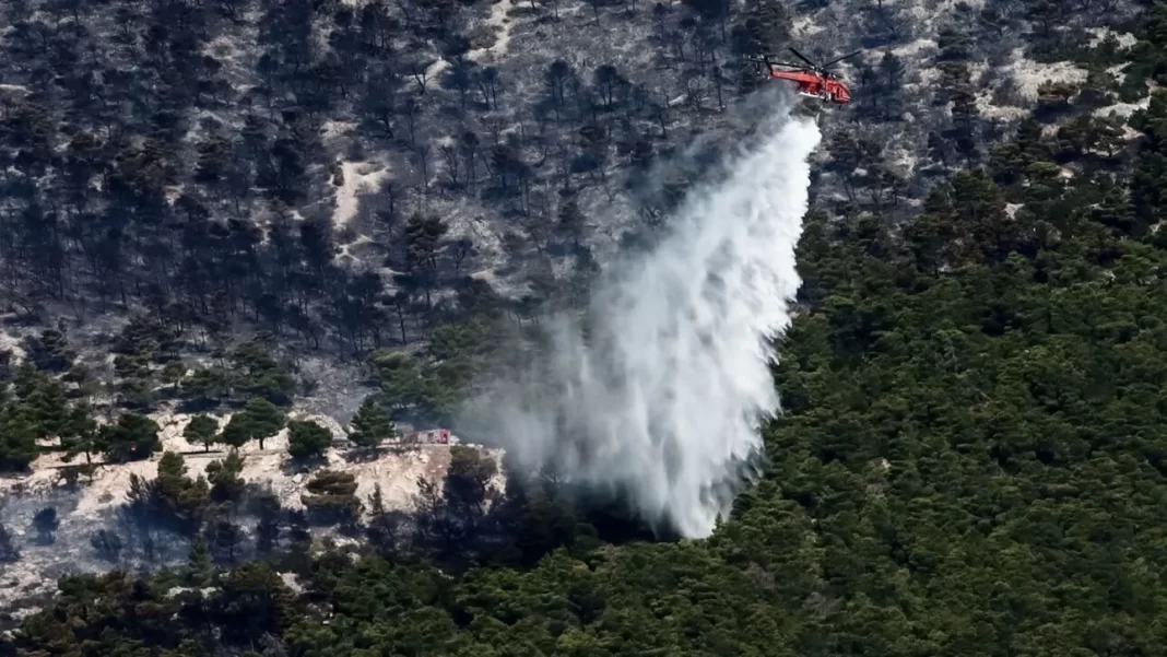 Ελεύθερος με περιοριστικούς όρους 32χρονος που κατηγορείται για εμπρησμούς