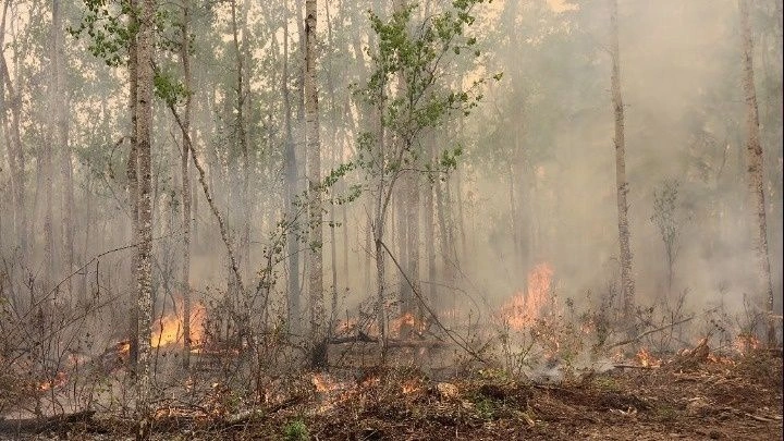 Καναδάς: Η βροχή φρενάρει την πελώρια πυρκαγιά – Συναγερμός σε πετρελαϊκές εγκαταστάσεις