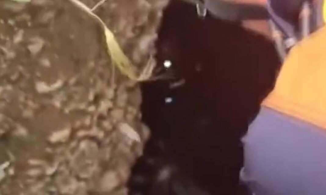 Τουρκία: Έσωσαν κατσίκα που είχε πέσει σε σπηλιά - Συγκινητική επιχείρηση