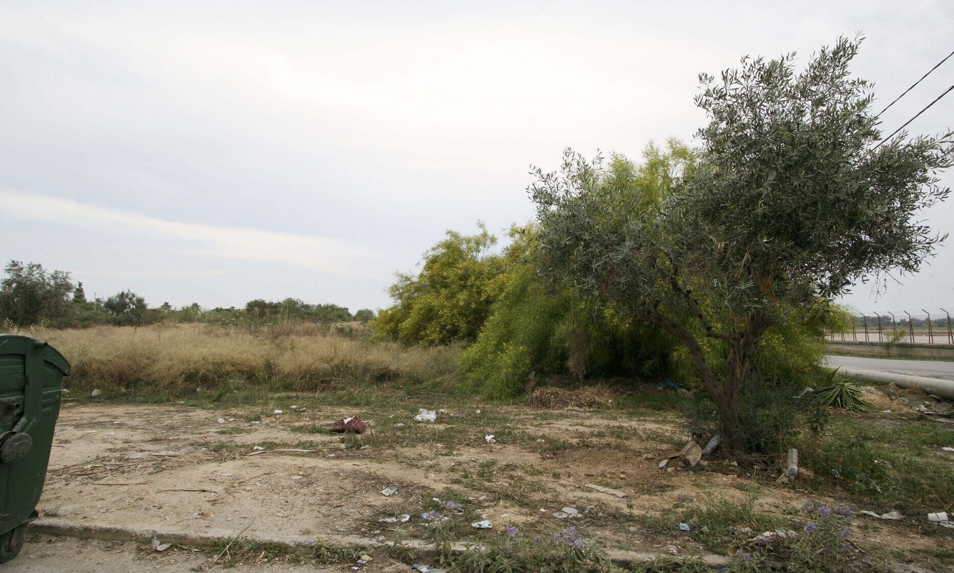 Ακαθάριστα οικόπεδα: Οι ιδιοκτήτες ακινήτων «τρέχουν» για να προλάβουν