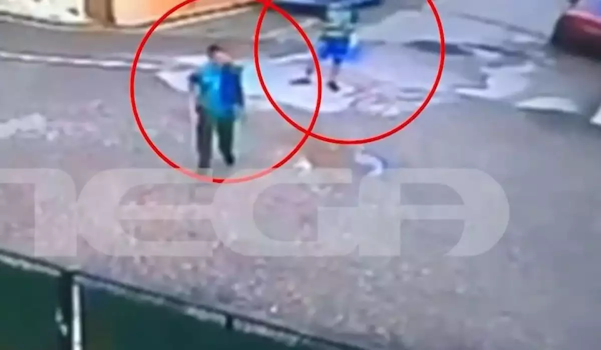 53χρονος κατήγγειλε κακοποίηση ζώων και του έριξαν μολότοφ στο σπίτι του