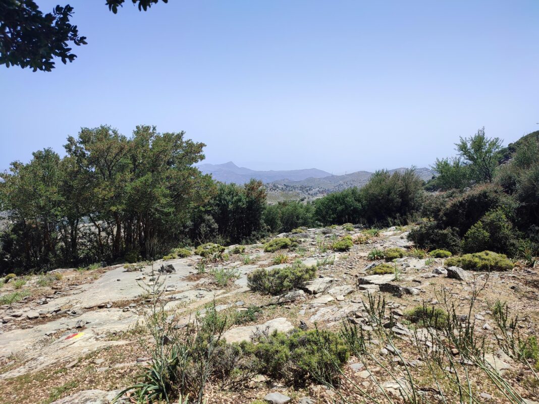 Η δράση του ΓΕΩΤΕΕ Κρήτης για την Παγκόσμια Ημέρα Περιβάλλοντος