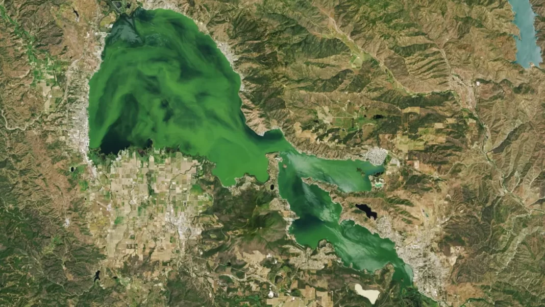 Τοξικά φύκια έκαναν λίμνη των ΗΠΑ τόσο πράσινη που ξεχωρίζει από το διάστημα