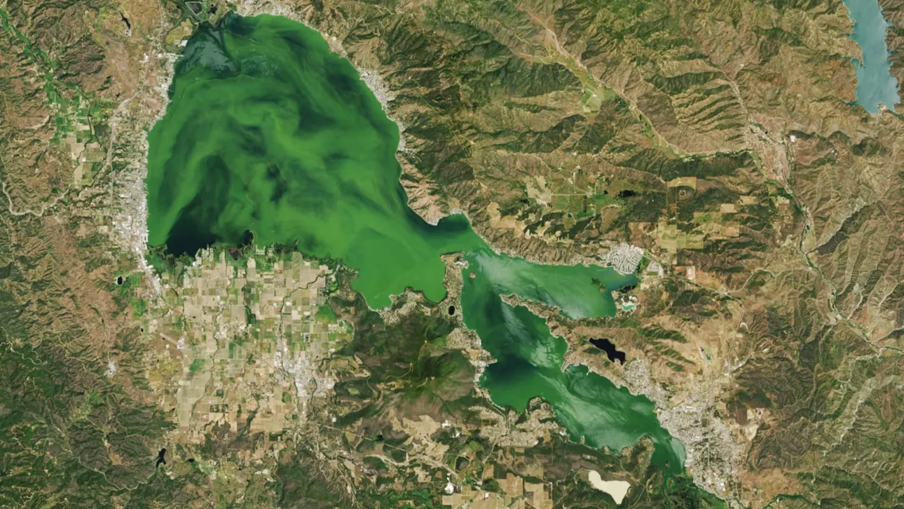 Τοξικά φύκια έκαναν λίμνη των ΗΠΑ τόσο πράσινη που ξεχωρίζει από το διάστημα